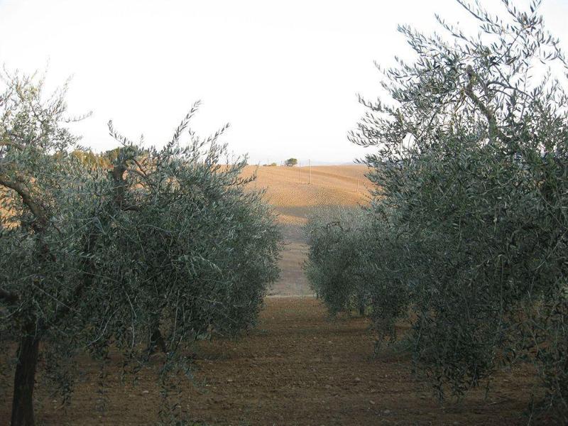 This photo about L'Albergaccio shared on HyHotel.com