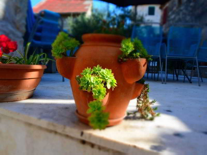 This photo about Apartmani Slavica shared on HyHotel.com