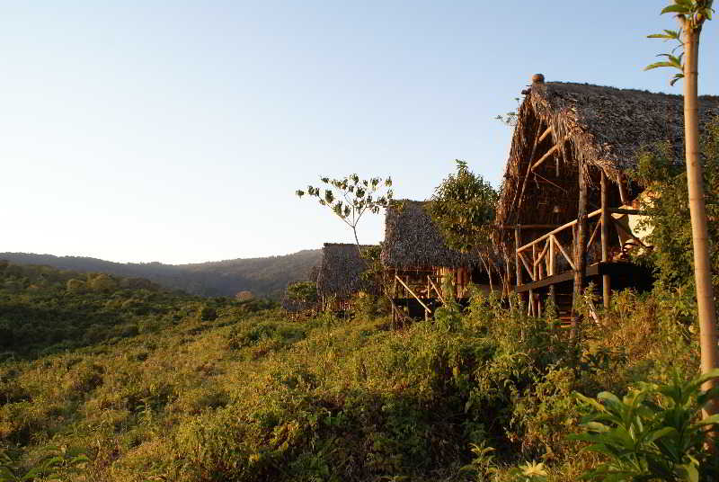 This photo about Crater Forest Tented Camp shared on HyHotel.com