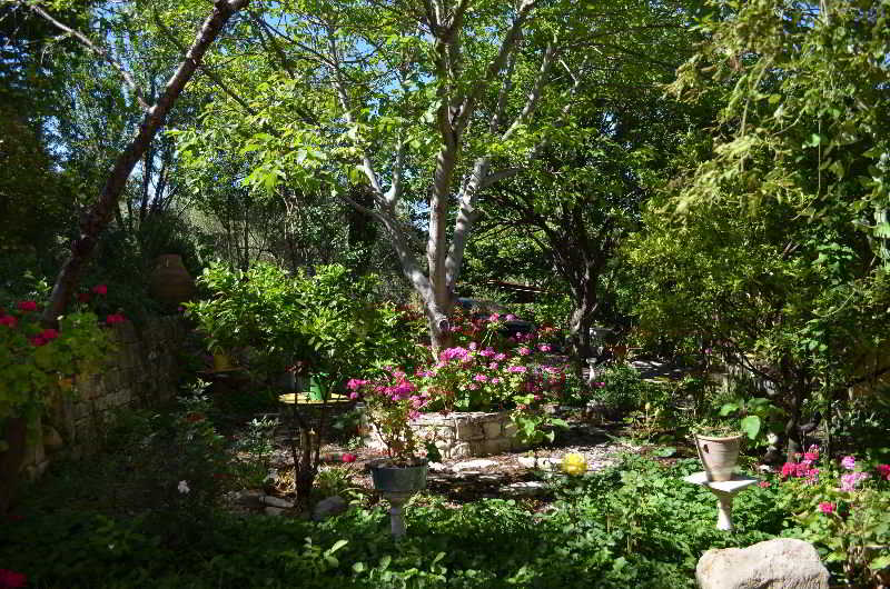 This photo about Viglatoras Traditionals Apartments shared on HyHotel.com