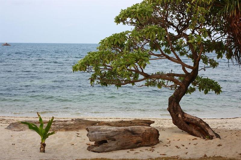 This photo about Trikora Beach Club & Resort shared on HyHotel.com