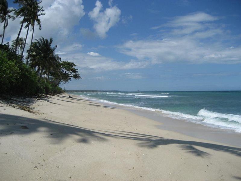 This photo about Trikora Beach Club & Resort shared on HyHotel.com