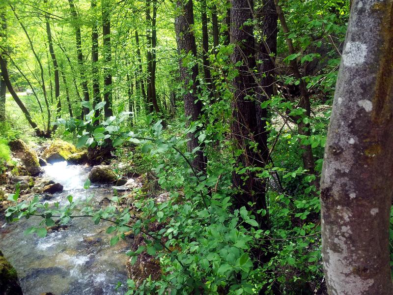 This photo about Guesthouse Druga Kuca shared on HyHotel.com