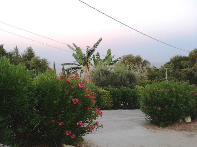 This photo about Apostolos & Eleni Family Apartments shared on HyHotel.com