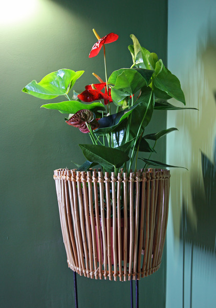 This photo about 29 Madeira Hostel shared on HyHotel.com