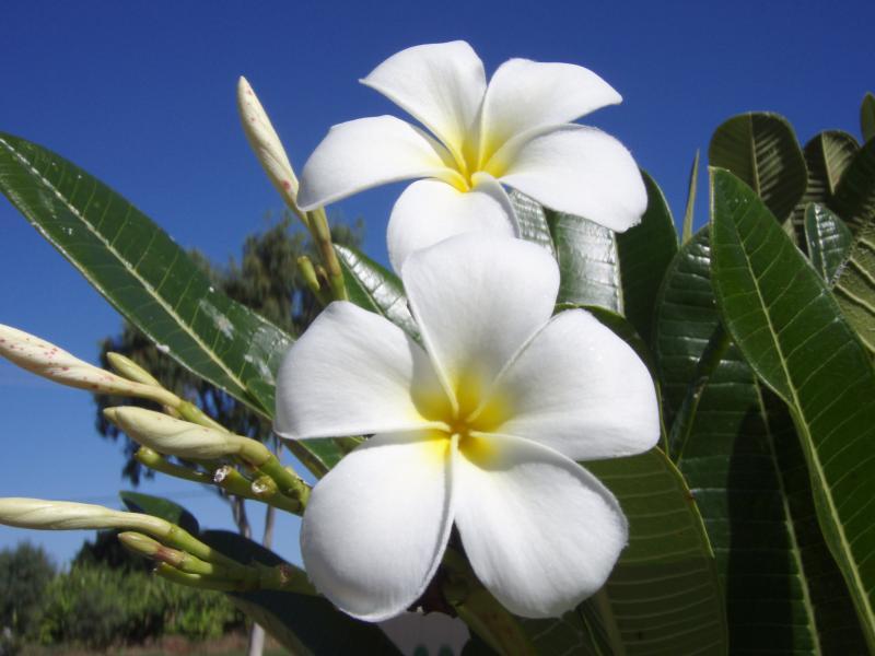 This photo about BIG4 Plantation Caravan Park shared on HyHotel.com