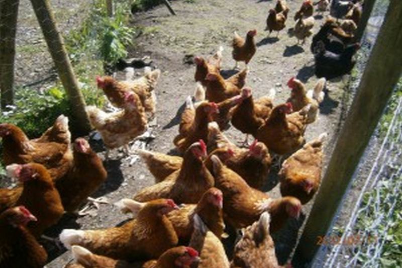 This photo about Gowlaun shared on HyHotel.com