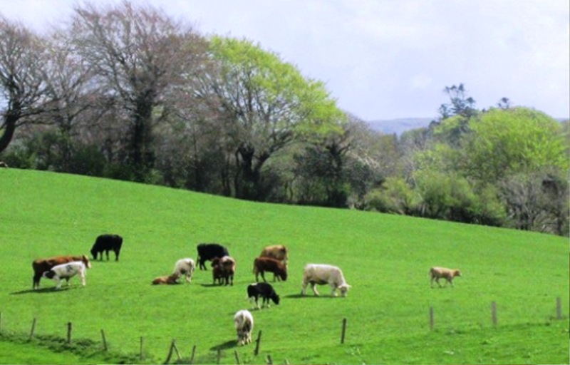 This photo about Ardtully Farmhouse shared on HyHotel.com