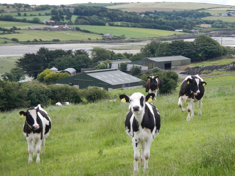 This photo about Bridgeview Farmhouse shared on HyHotel.com