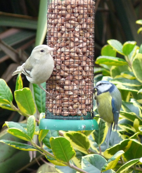 This photo about Bridgeview Farmhouse shared on HyHotel.com