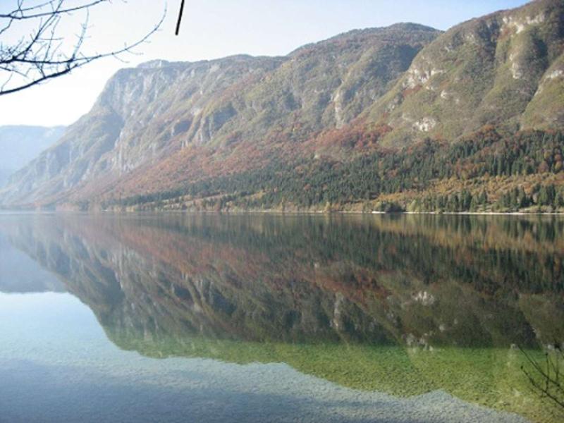 This photo about Apartment Pod Rodico & Chalet Bohinj shared on HyHotel.com