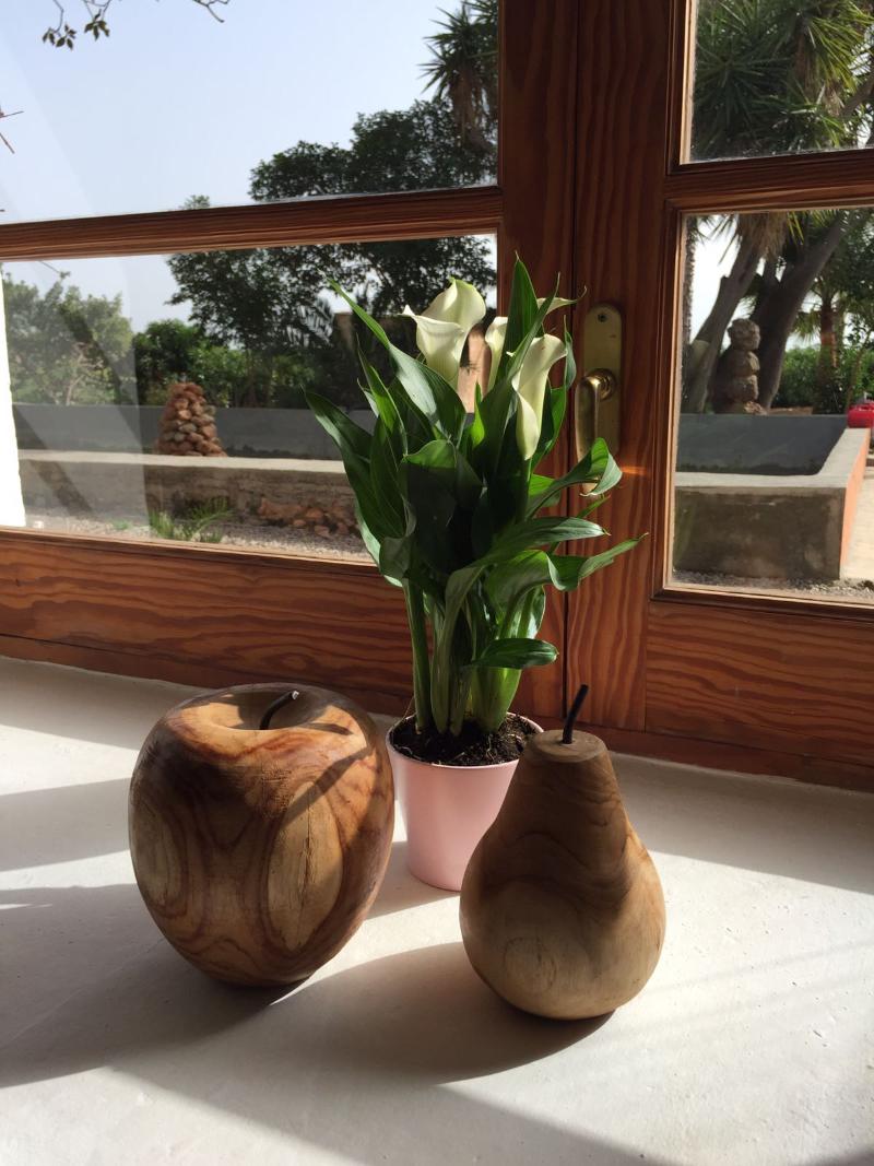 This photo about Cas Padrins (Son Nebot) shared on HyHotel.com