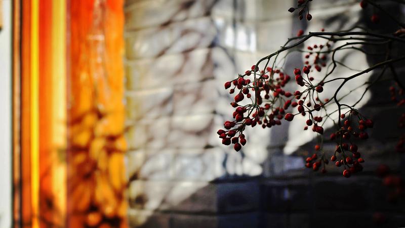 This photo about Dasein Oriental Beauty shared on HyHotel.com