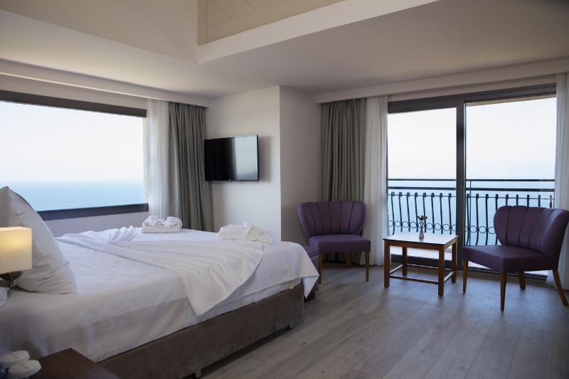 Room SUI.DX-VP