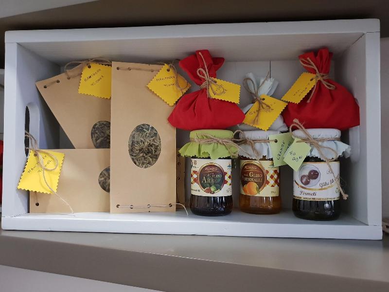 cheap resort hotels  to Spend holiday with family