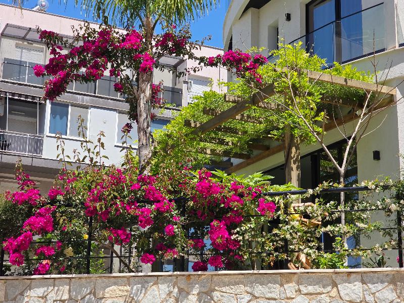 cheap resort hotels  to Spend holiday with family