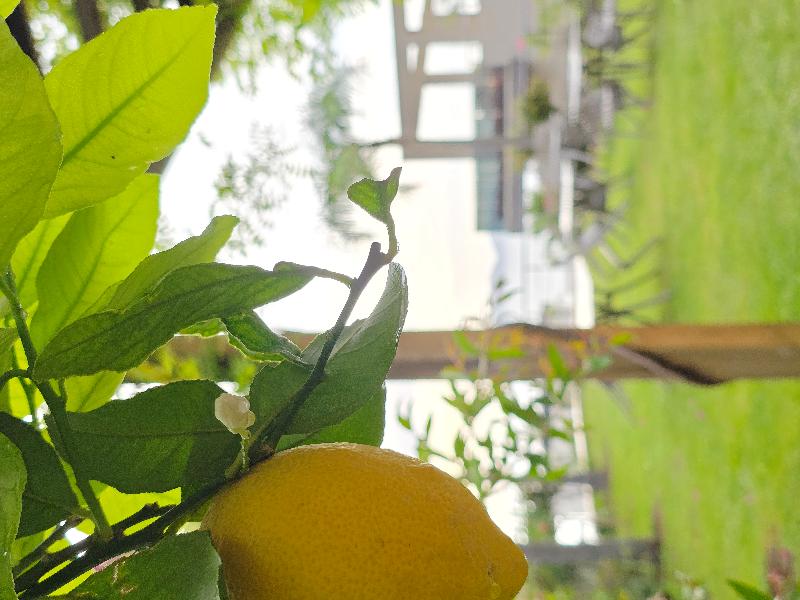 cheap resort hotels  to Spend holiday with family