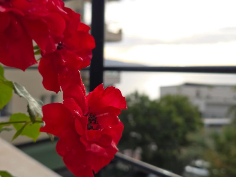 cheap resort hotels  to Spend holiday with family