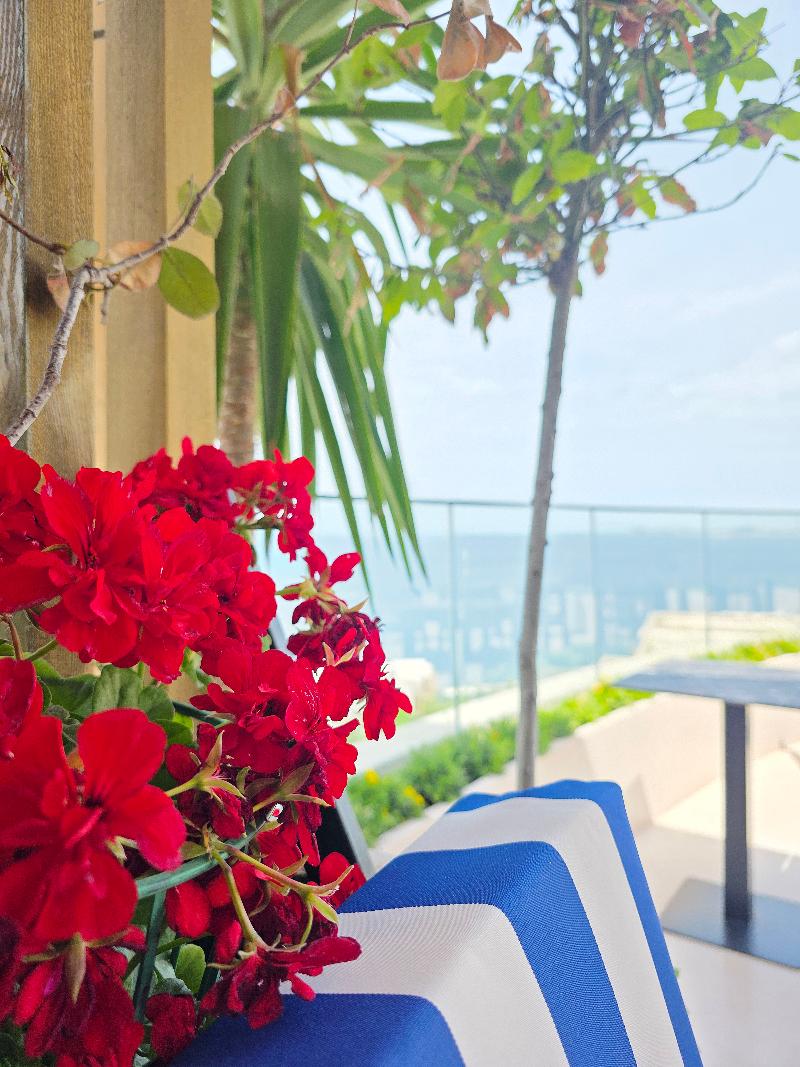 cheap resort hotels  to Spend holiday with family