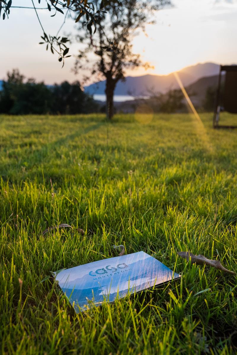 cheap resort hotels  to Spend holiday with family