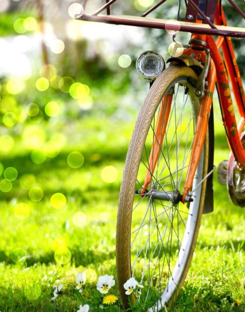 cheap resort hotels  to Spend holiday with family