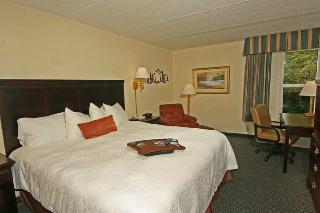 Room
 di Hampton Inn & Suites Pigeon Forge On The Pkwy