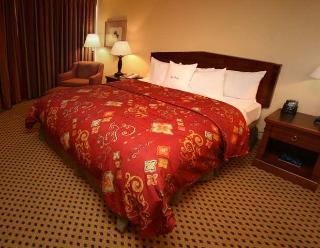 Room
 di Doubletree Hotel & Conference Center St. Louis 