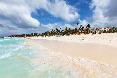 Beach
Beach
di Barcelo Punta Cana All Inclusive