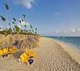 Beach
Beach
di Iberostar Punta Cana All Inclusive