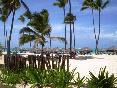 Beach
Beach
di Punta Cana Princess All Inclusive