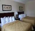 Room
 di Comfort Hotel & Suites Peterborough