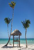 Beach
Beach
di Dreams Palm Beach Punta Cana All Inclusive