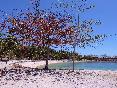 Beach
 di Cordova Reef Village Resort