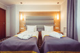 Double Or Twin Business rooms