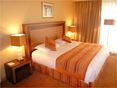 Double Executive Garden View rooms