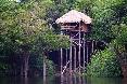 Room
Room
di Juma Amazon Lodge