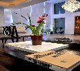 Lobby
Lobby
di Le Parc Quito