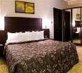 Room
Room
di Quality Suite Amman