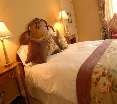 Room
Room
di The White Hart Royal Hotel