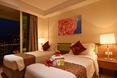 Twin Deluxe Executive rooms