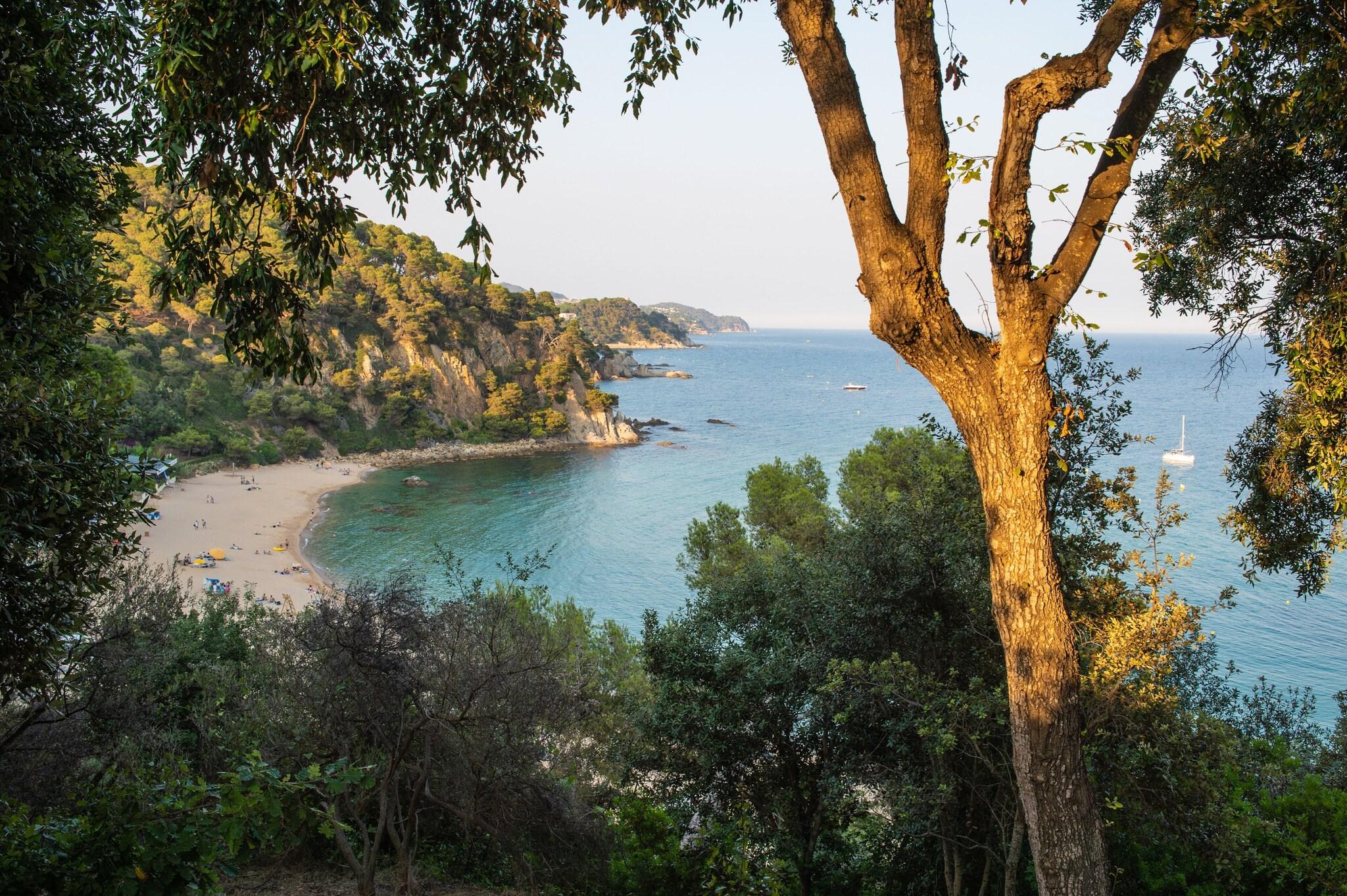 Billede av hotellet Hotel Lloret Santa Rosa by Pierre & Vacances - nummer 8 af 10