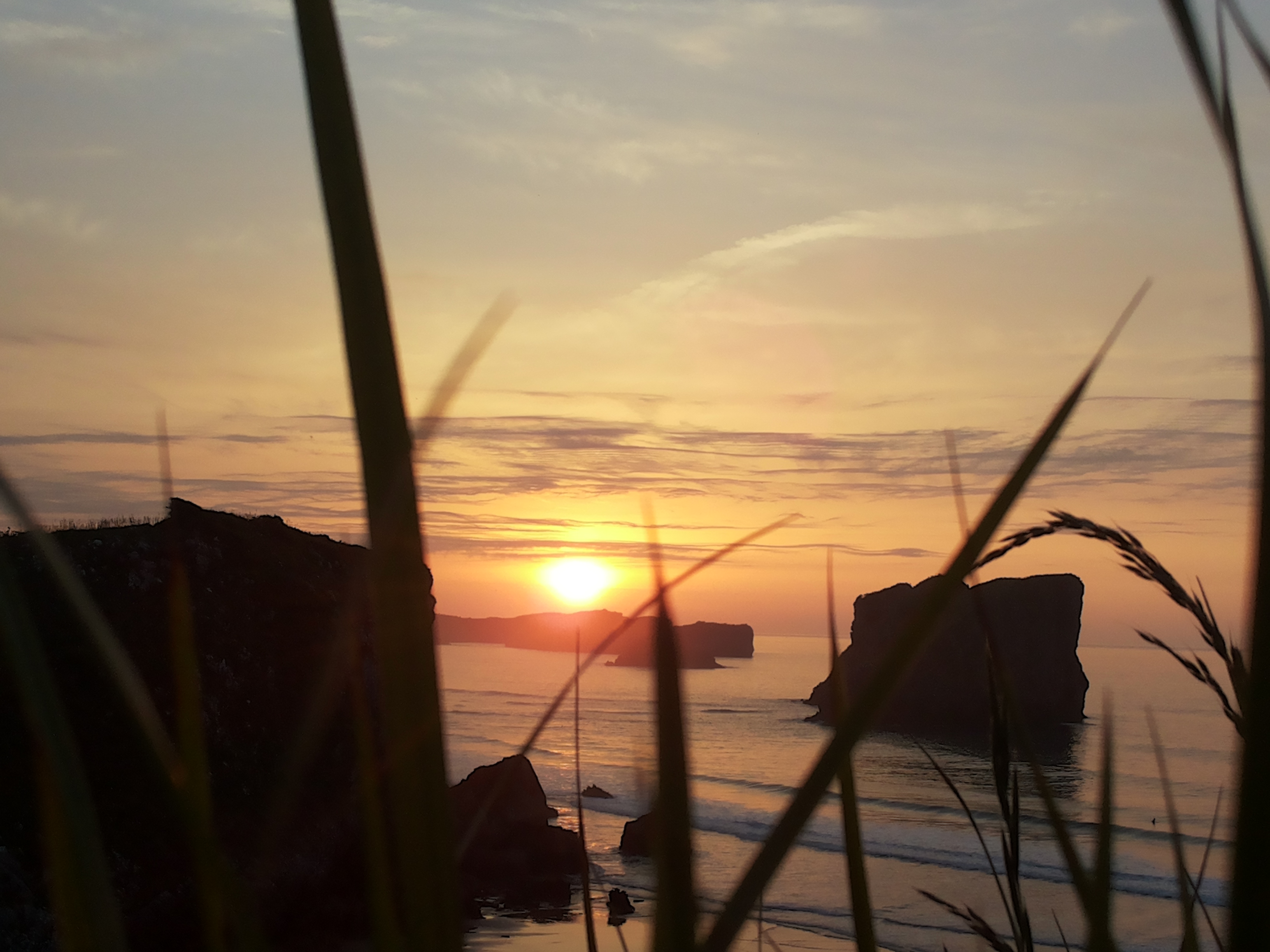 image url