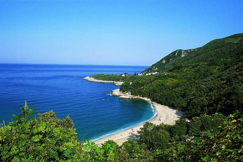image url