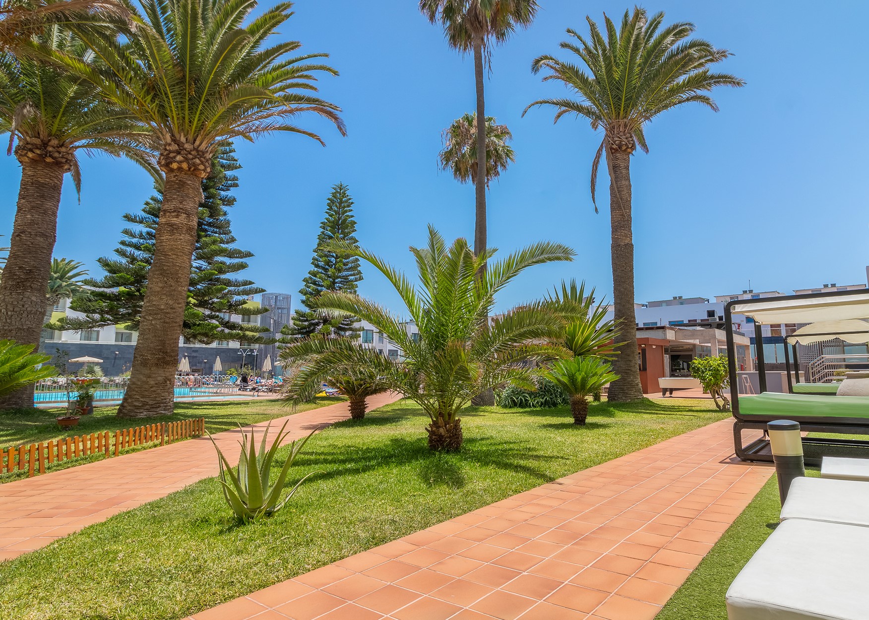 Billede av hotellet Hotel LIVVO Corralejo Beach - nummer 6 af 10