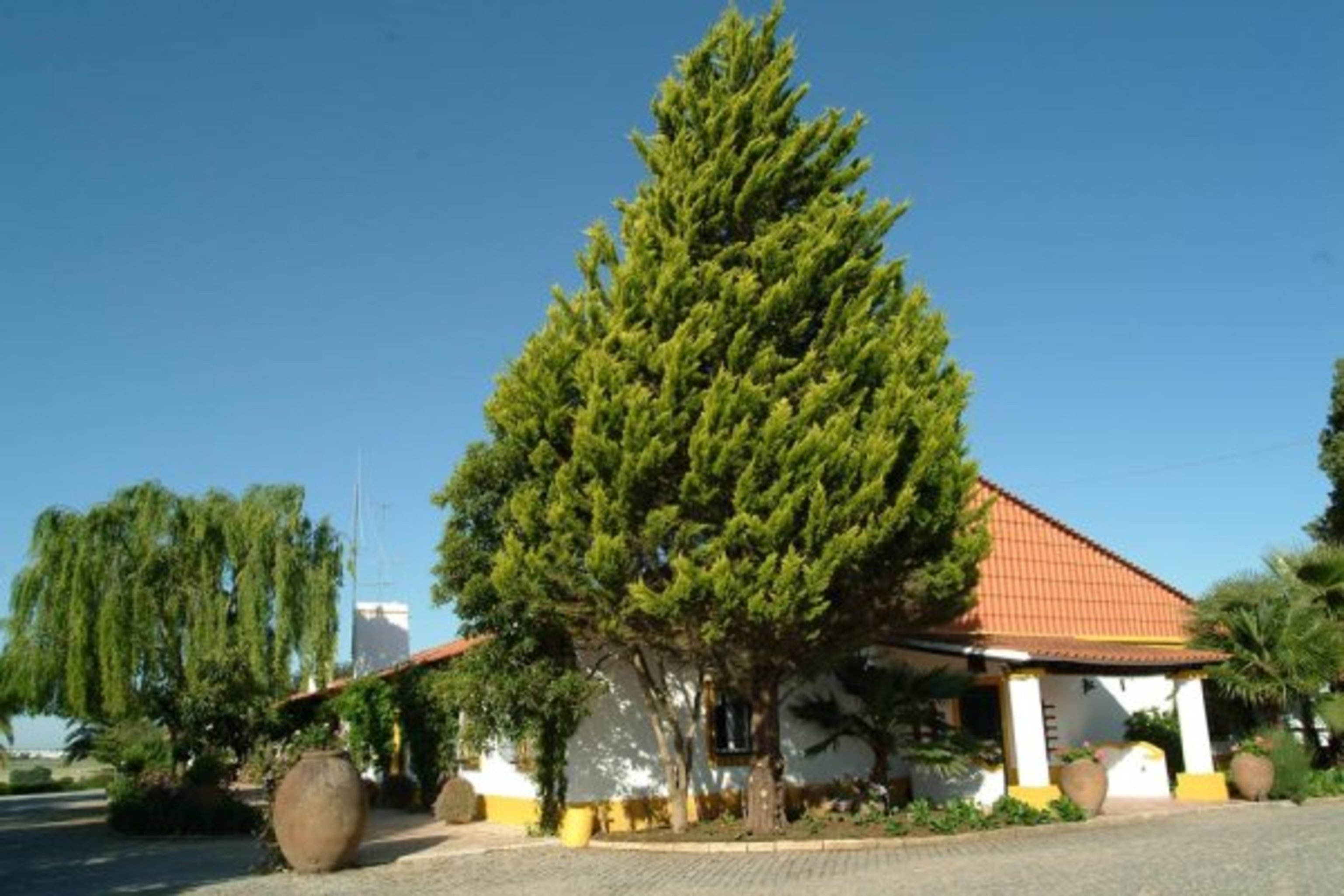 image url