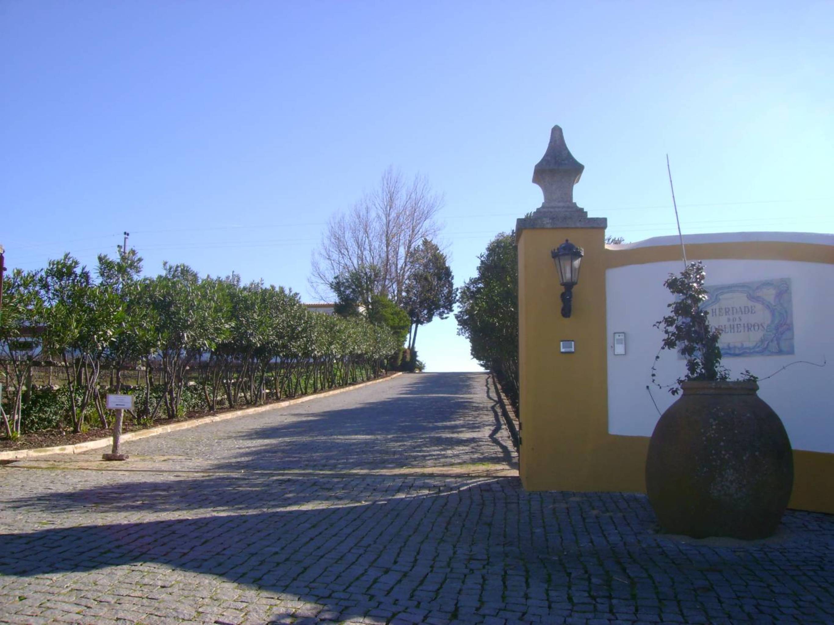 image url