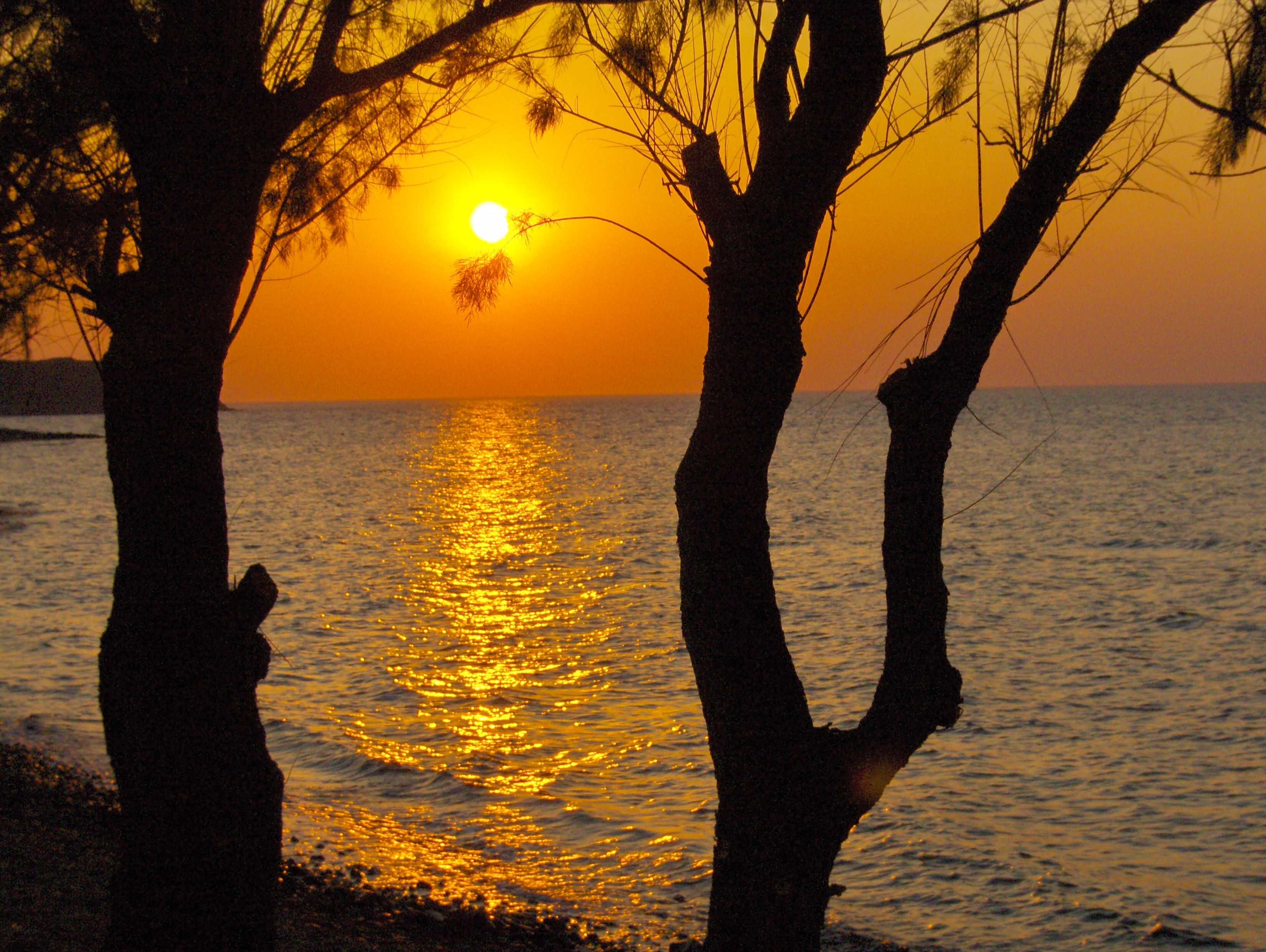 image url