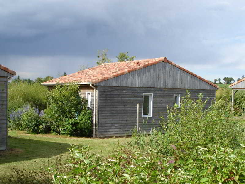 image url
