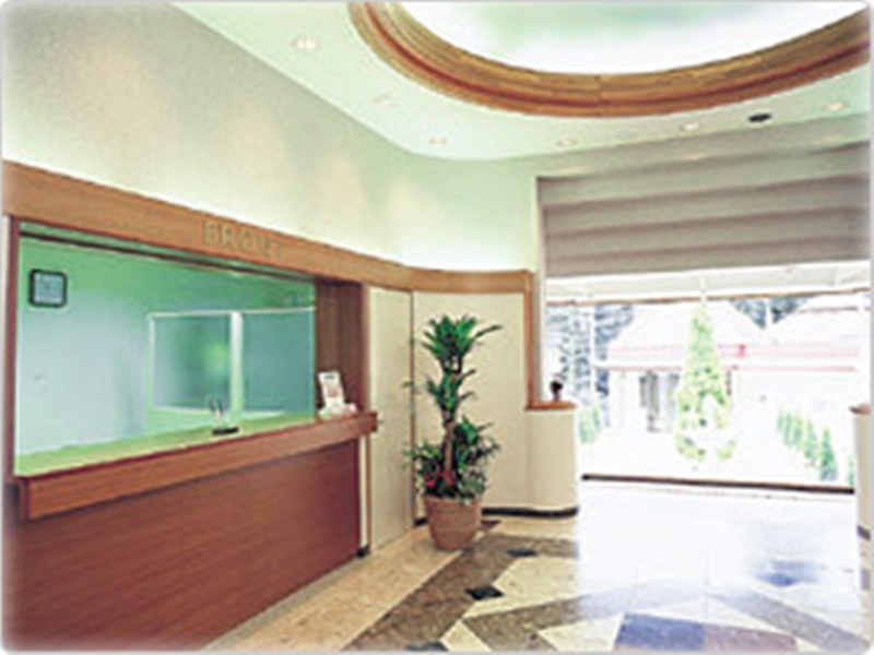 image url
