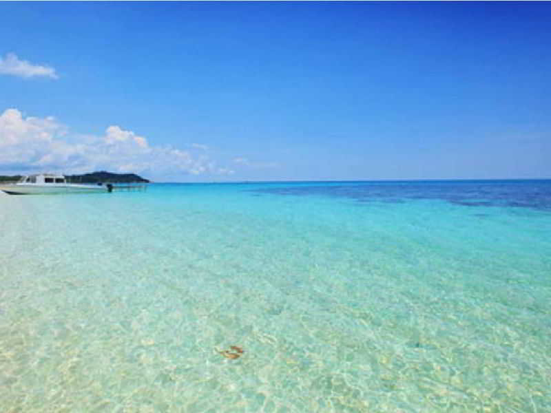 image url